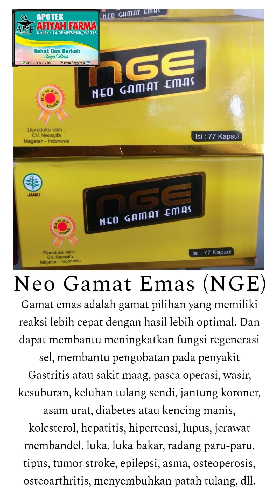 IMG-PRODUCT